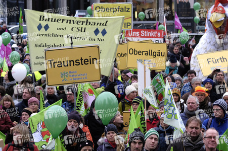 Demonstration 'Wir haben es Satt!' in Berlin
