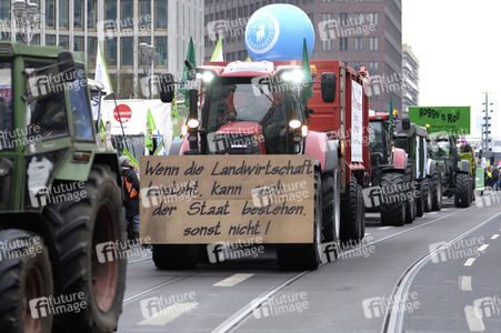 Demonstration 'Wir haben es Satt!' in Berlin