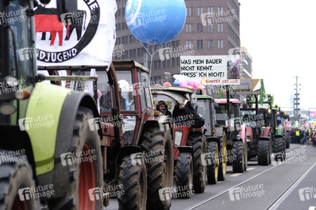 Demonstration 'Wir haben es Satt!' in Berlin
