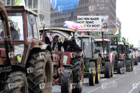 Demonstration 'Wir haben es Satt!' in Berlin