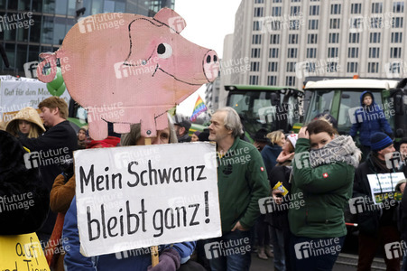 Demonstration 'Wir haben es Satt!' in Berlin