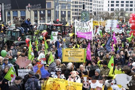 Demonstration 'Wir haben es Satt!' in Berlin