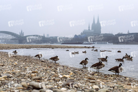 Symbolfoto Niedrigwasser