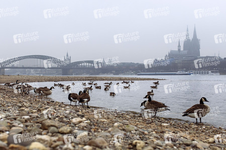 Symbolfoto Niedrigwasser