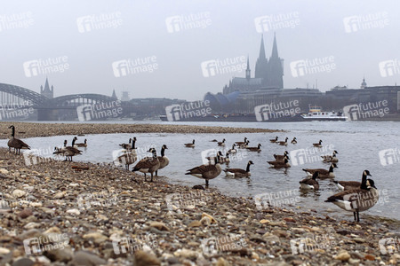 Symbolfoto Niedrigwasser
