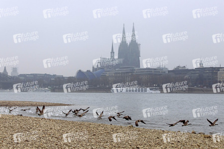Symbolfoto Niedrigwasser