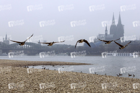 Symbolfoto Niedrigwasser