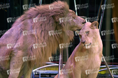 Circus Krone Premiere in München