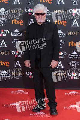 Goya Awards 2017 in Madrid