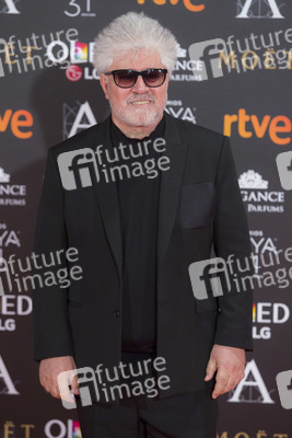 Goya Awards 2017 in Madrid