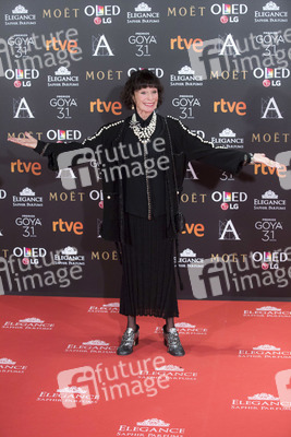 Goya Awards 2017 in Madrid