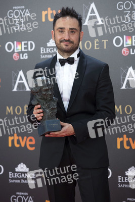 Goya Awards 2017 in Madrid