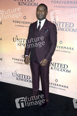 Filmpremiere 'A United Kingdom' in New York