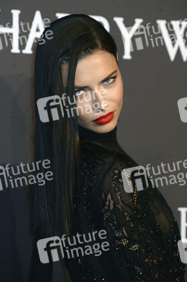 amfAR New York Gala 2017