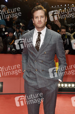 'Final Portrait' Premiere, Berlinale 2017