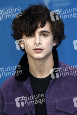 'Call Me by Your Name' Photocall, Berlinale 2017