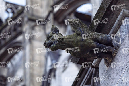 Wasserspeier am Kölner Dom