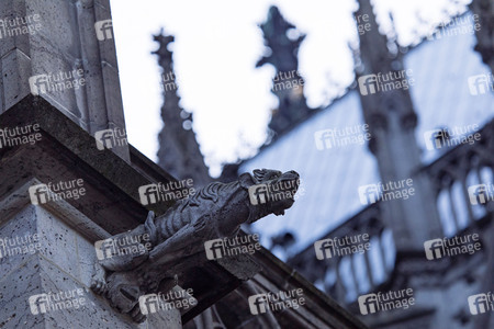 Wasserspeier am Kölner Dom