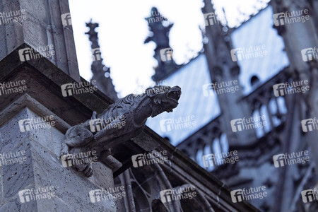Wasserspeier am Kölner Dom
