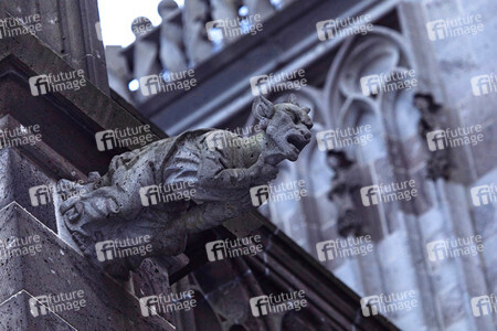 Wasserspeier am Kölner Dom