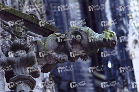 Wasserspeier am Kölner Dom