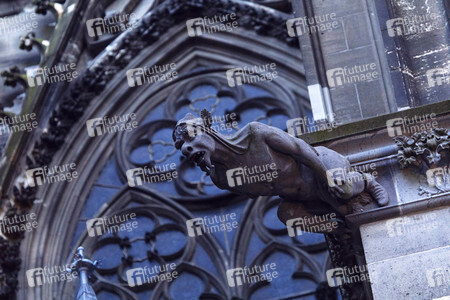Wasserspeier am Kölner Dom
