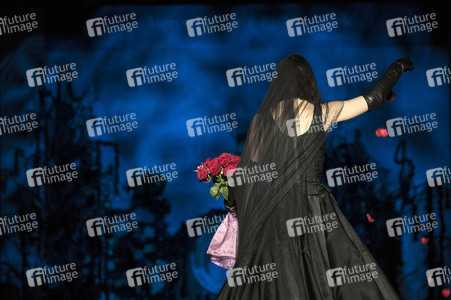 Francis Montesinos Fashion Show auf der Mercedes-Benz Fashion Week Madrid AW 2017