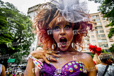 Carnival Parade 'Minhoqueens of the Arouche' in Sao Paulo