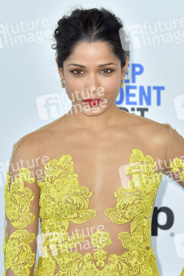 Film Independent Spirit Awards 2017 in Santa Monica