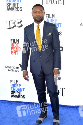 Film Independent Spirit Awards 2017 in Santa Monica