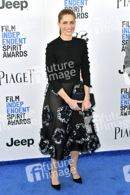 Film Independent Spirit Awards 2017 in Santa Monica