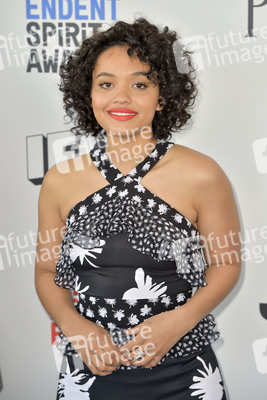 Film Independent Spirit Awards 2017 in Santa Monica