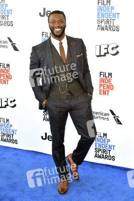 Film Independent Spirit Awards 2017 in Santa Monica