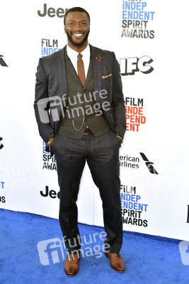 Film Independent Spirit Awards 2017 in Santa Monica