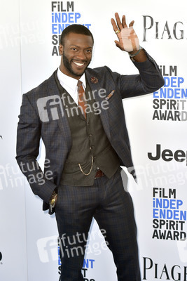 Film Independent Spirit Awards 2017 in Santa Monica