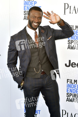 Film Independent Spirit Awards 2017 in Santa Monica