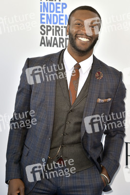 Film Independent Spirit Awards 2017 in Santa Monica