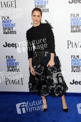 Film Independent Spirit Awards 2017 in Santa Monica