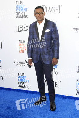 Film Independent Spirit Awards 2017 in Santa Monica