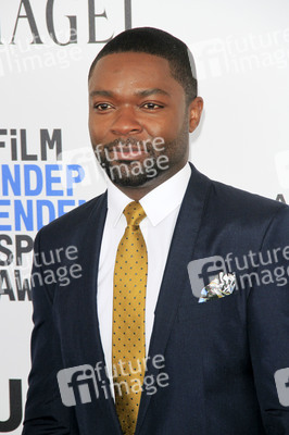 Film Independent Spirit Awards 2017 in Santa Monica
