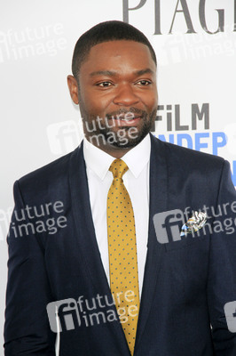Film Independent Spirit Awards 2017 in Santa Monica