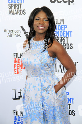 Film Independent Spirit Awards 2017 in Santa Monica