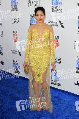 Film Independent Spirit Awards 2017 in Santa Monica