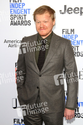 Film Independent Spirit Awards 2017 in Santa Monica