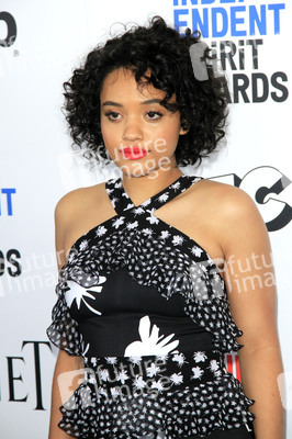 Film Independent Spirit Awards 2017 in Santa Monica