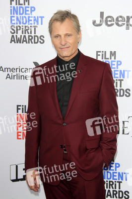 Film Independent Spirit Awards 2017 in Santa Monica