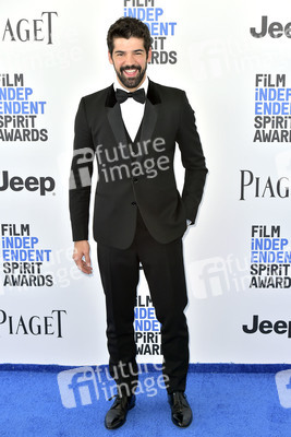 Film Independent Spirit Awards 2017 in Santa Monica