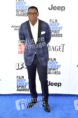 Film Independent Spirit Awards 2017 in Santa Monica
