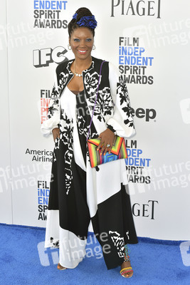 Film Independent Spirit Awards 2017 in Santa Monica