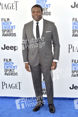 Film Independent Spirit Awards 2017 in Santa Monica